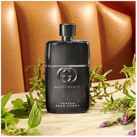 gucci guilty pour homme notes